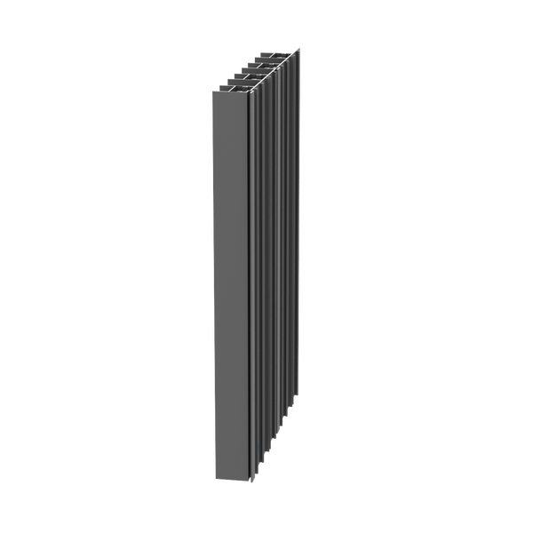 Paralline Fin